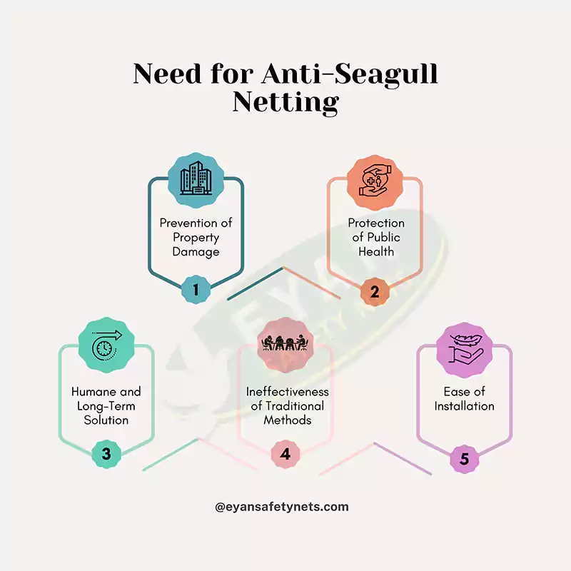 Importance of Anti Seagull Nets in Hyderabad