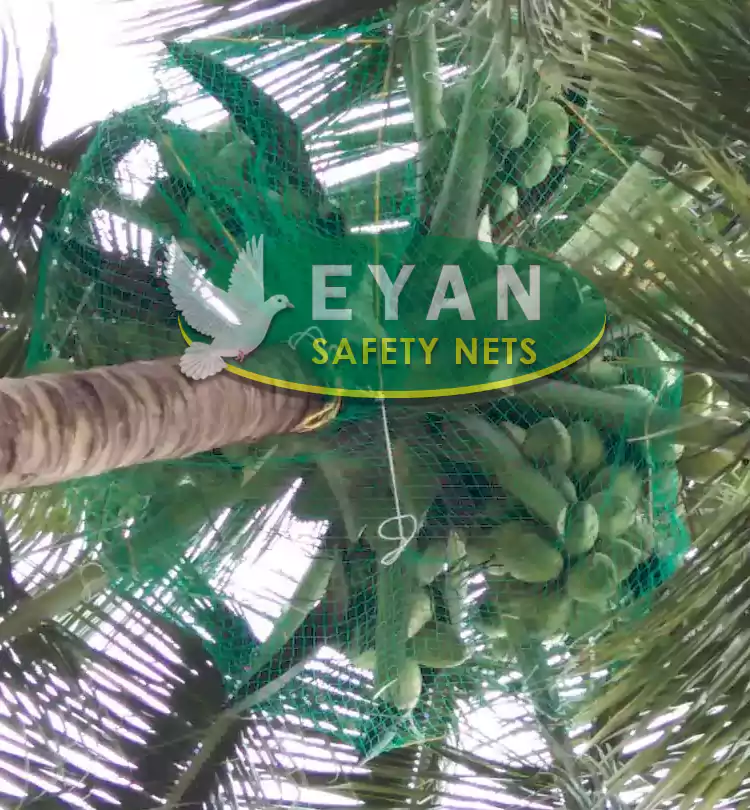 Conconut Safety Nets in Hyderabad