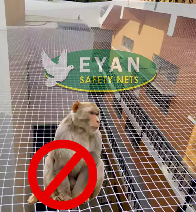 Monkey Safety Nets in Hyderabad