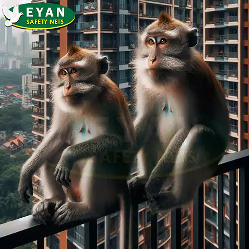 monkey-intrusion-in-the-absence-of-nets
width=