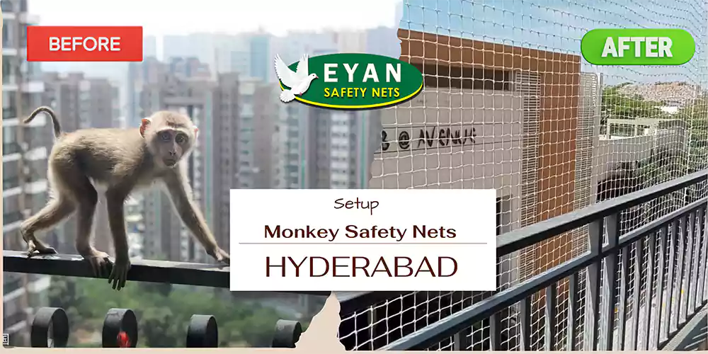 Monkey Safety Nets