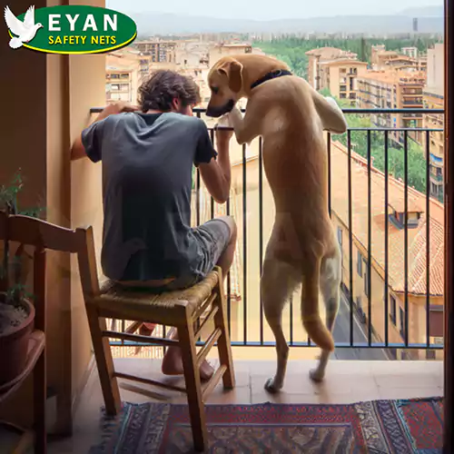 absence of pet safety nets