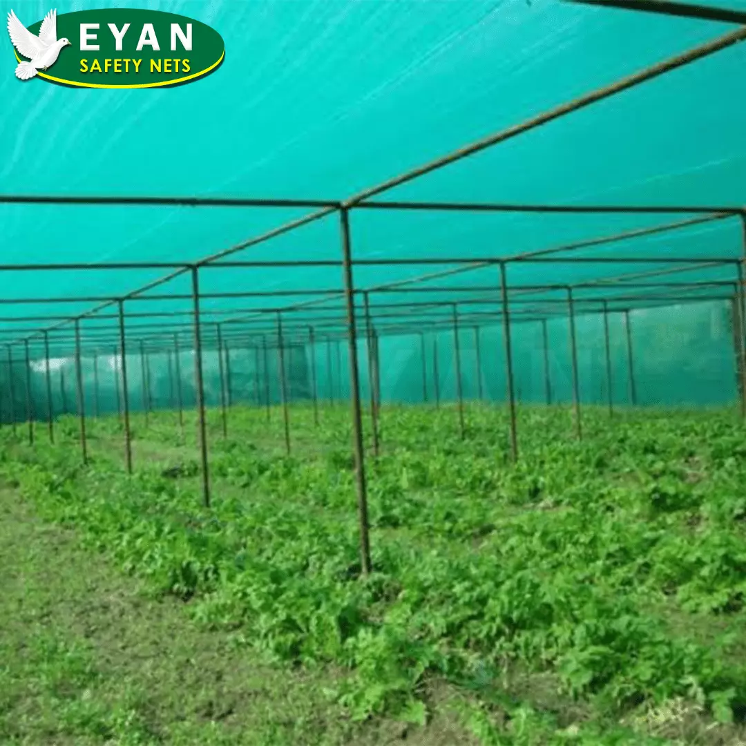 shade net installation