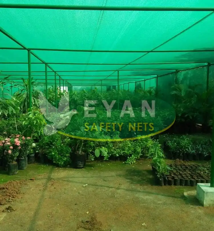 Terrace Top Nets in Hyderabad